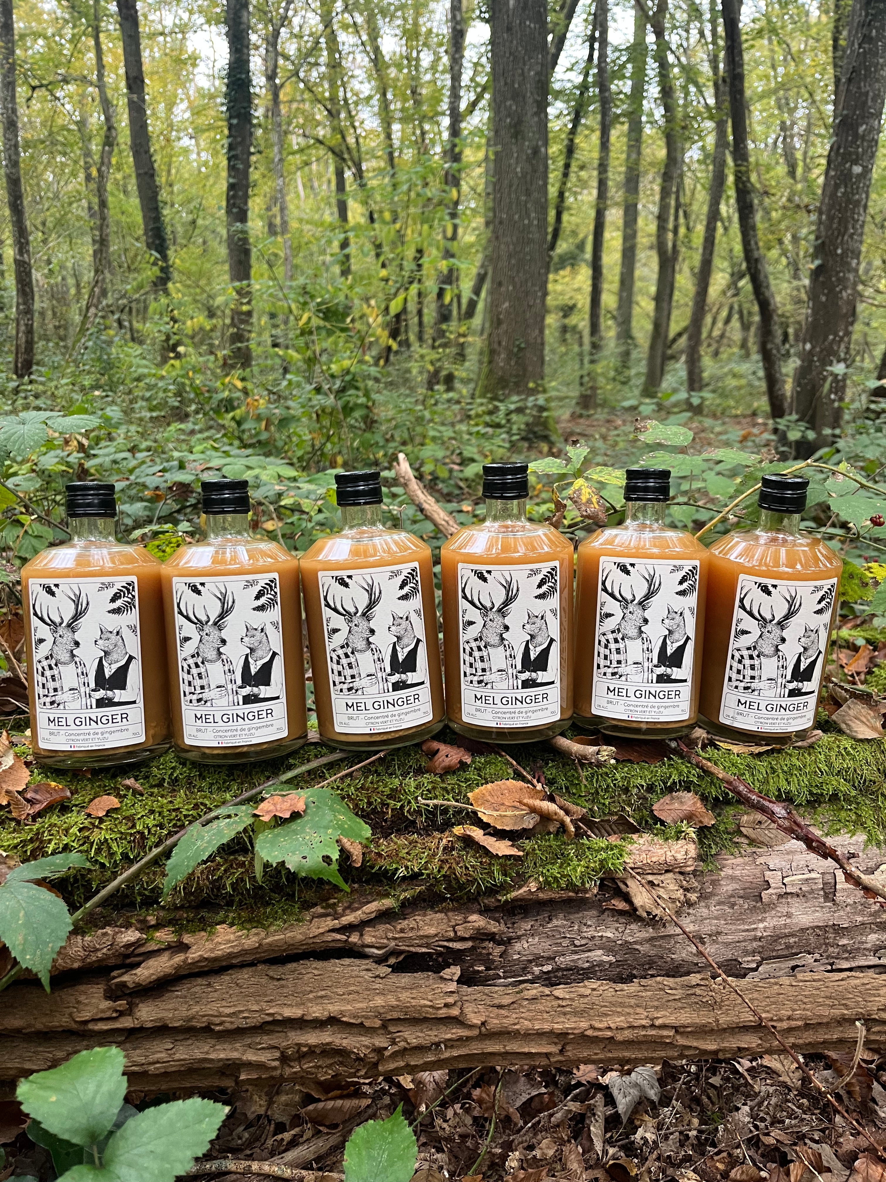 Lot de 6 bouteilles Mel Ginger